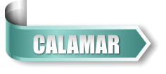 CALAMAR